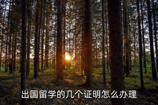 出國留學的幾個證明怎么辦理