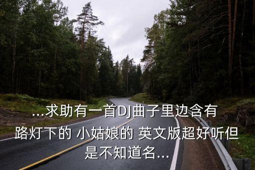 ...求助有一首DJ曲子里邊含有 路燈下的 小姑娘的 英文版超好聽但是不知道名...