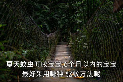 夏天蚊蟲叮咬寶寶,6個月以內(nèi)的寶寶最好采用哪種 驅(qū)蚊方法呢