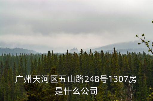 廣州天河區(qū)五山路248號1307房是什么公司