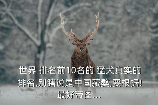  世界 排名前10名的 猛犬真實的 排名,別瞎說是中國藏獒,要根據!最好帶圖...