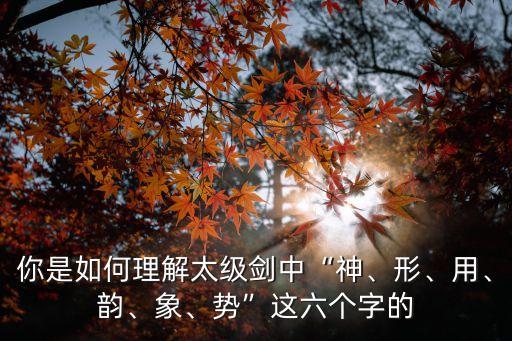 養(yǎng)生太極劍,武當(dāng)三豐太極拳33式養(yǎng)生太極劍