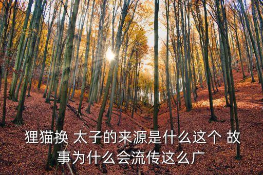  貍貓換 太子的來源是什么這個 故事為什么會流傳這么廣