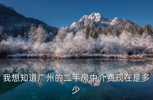 我想知道廣州的二手房中介費現在是多少