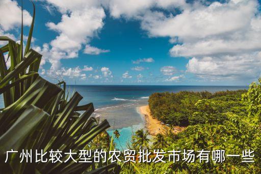 廣州比較大型的農貿批發市場有哪一些