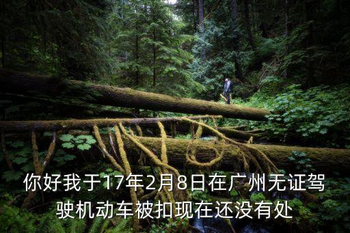 你好我于17年2月8日在廣州無證駕駛機動車被扣現在還沒有處