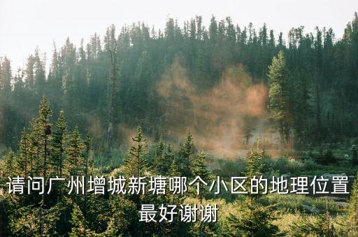 請問廣州增城新塘哪個小區的地理位置最好謝謝