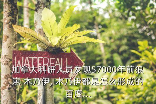 木乃伊5,回顧（四）:時空穿越