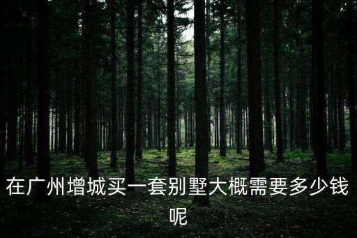 廣州增城買別墅投資，在廣州增城買一套別墅大概需要多少錢呢