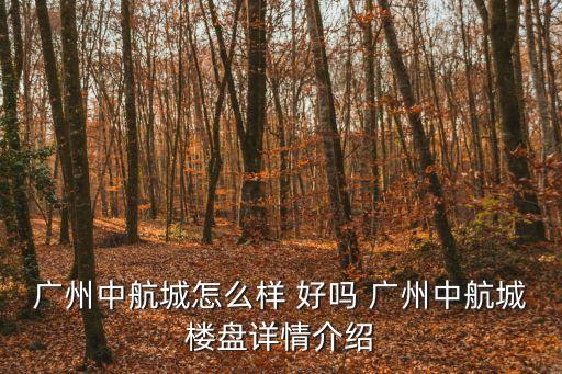 廣州中航城樓盤，廣州中航城怎么樣 好嗎 廣州中航城樓盤詳情介紹