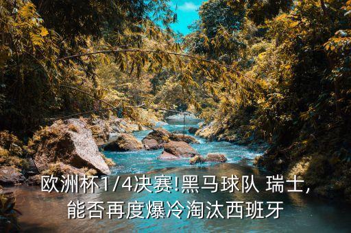 法國隊vs瑞士隊,歐冠:法國瑞士爆冷淘汰比利時小組出線