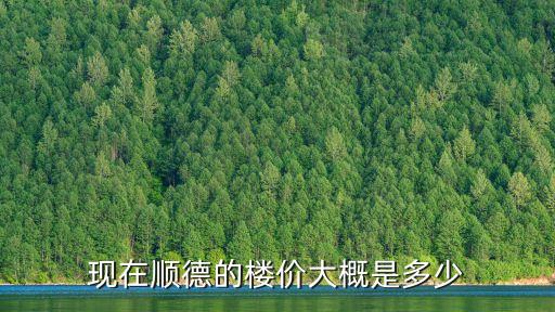 廣州順德新樓盤價格，廣東省順德大良東區的房價多少錢一個平方