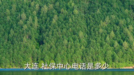 大連市社保查詢,大連社保查詢個人賬戶明細查詢1、可到大連市社保中心查詢