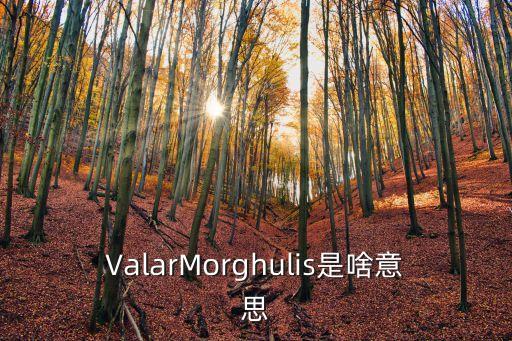 ValarMorghulis是啥意思
