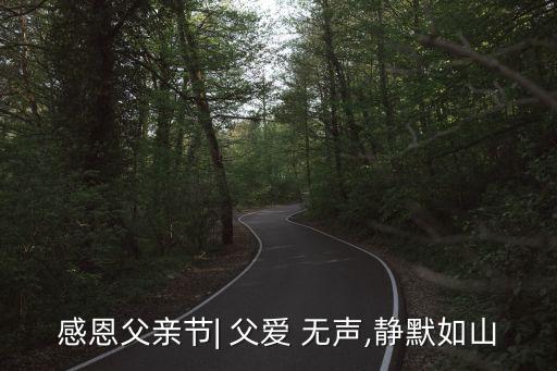 父愛無聲