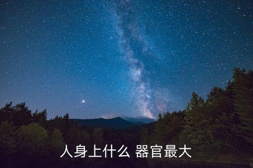 人身上什么 器官最大