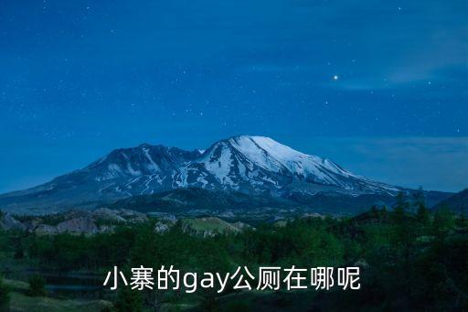 小寨的gay公廁在哪呢