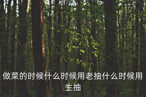 炒菜用什么醬油,家里炒菜用什么醬油