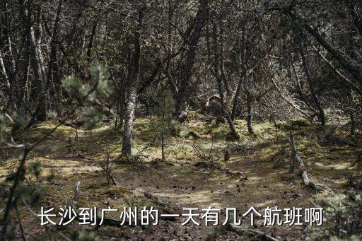 長沙到廣州的一天有幾個航班啊
