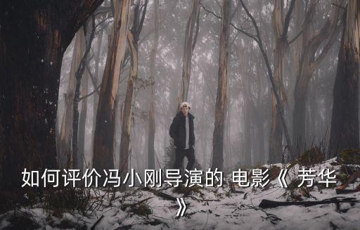 如何評價馮小剛導(dǎo)演的 電影《 芳華》