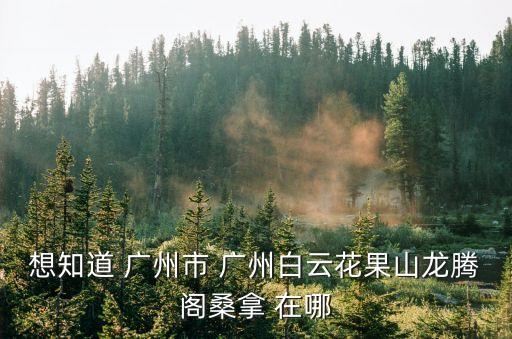 想知道 廣州市 廣州白云花果山龍騰閣桑拿 在哪