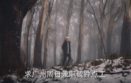 求廣州周日兼職或鐘點(diǎn)工