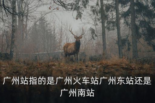 廣州站是廣州火車站，廣州火車站是哪個(gè)站