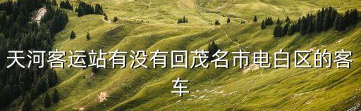 天河客運站有沒有回茂名市電白區的客車