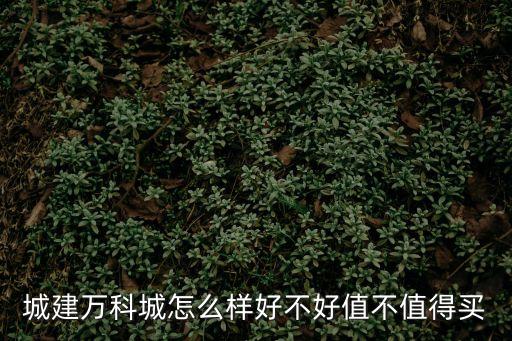 城建萬(wàn)科城怎么樣好不好值不值得買