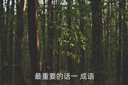  最重要的話一 成語