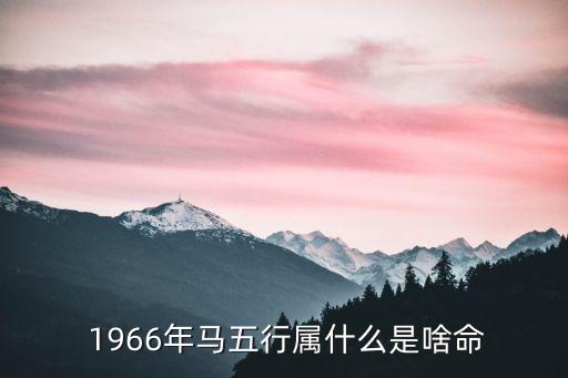 1966年屬什么