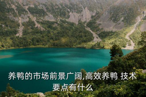 肉鴨養殖技術,怎么養肉鴨才能吃到肉?科普貼士
