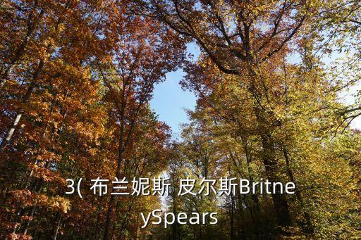 布蘭妮斯皮爾斯,布蘭妮·斯皮爾斯是誰惹的禍?