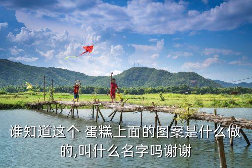 巧克力蛋糕圖片,巧克力蛋糕的做法和步驟網紅分享