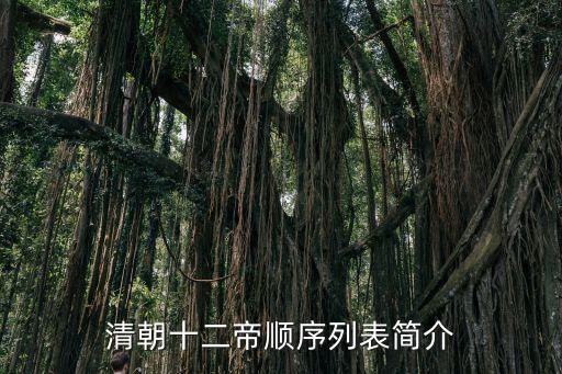努爾哈赤簡介,努爾哈赤是皇太極的父親嗎?