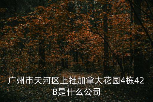 廣州市天河區上社加拿大花園4棟42B是什么公司
