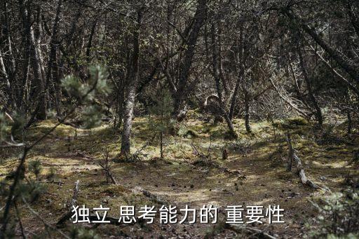 思考的重要性,冷靜思考的重要性?