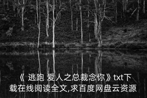 《 逃跑 愛人之總裁念你》txt下載在線閱讀全文,求百度網盤云資源