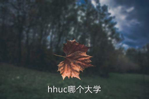 河海大學江寧校區,中國211大學排名表最新排名