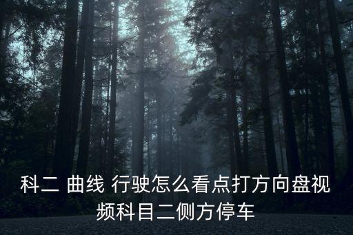 科二 曲線 行駛怎么看點打方向盤視頻科目二側方停車