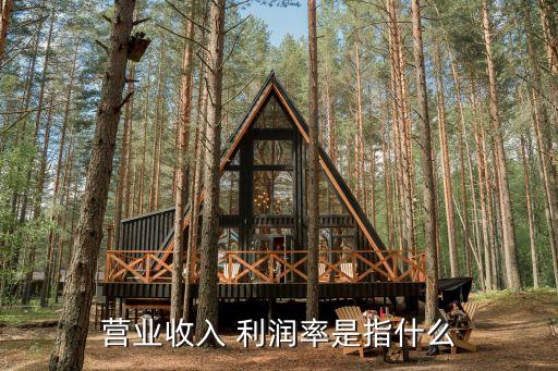 營業(yè)收入 利潤率是指什么