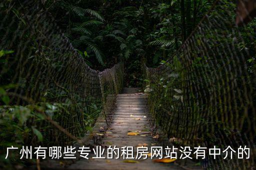 廣州有哪些專業(yè)的租房網(wǎng)站沒有中介的