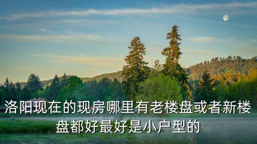 洛陽現在的現房哪里有老樓盤或者新樓盤都好最好是小戶型的