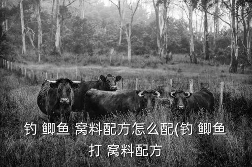 釣鯽魚的窩料,釣魚窩料知多少?問與答（20）
