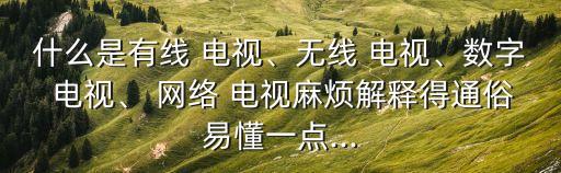 什么是有線 電視、無線 電視、數字 電視、 網絡 電視麻煩解釋得通俗易懂一點...