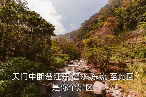 碧水東流至此回