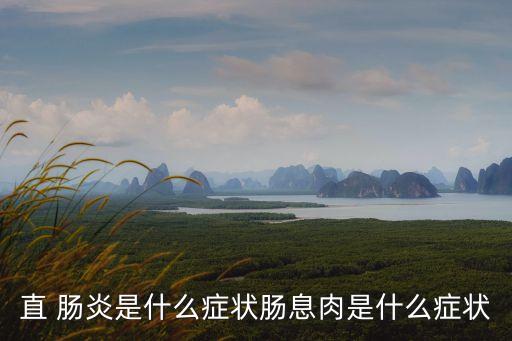 直 腸炎是什么癥狀腸息肉是什么癥狀