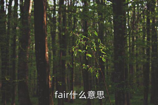 fair是什么意思,鉆石切工fair是什么意思