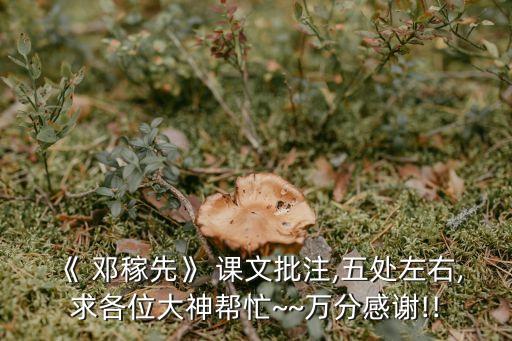 鄧稼先課文
