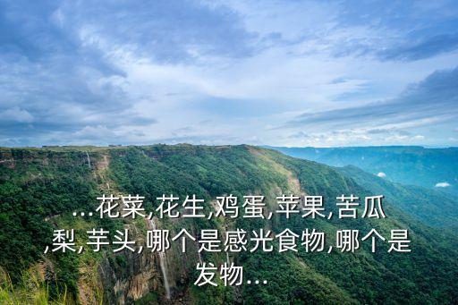 ...花菜,花生,雞蛋,蘋果,苦瓜,梨,芋頭,哪個是感光食物,哪個是 發物...